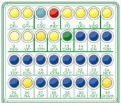 Sensi Test gram-positive 20 teste