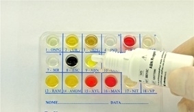 EnteroPluri-Test - 25 teste