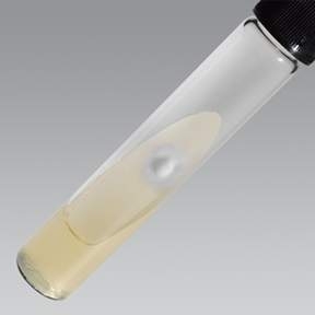 Sabouraud Dextroza Agar + CFN + GENTA